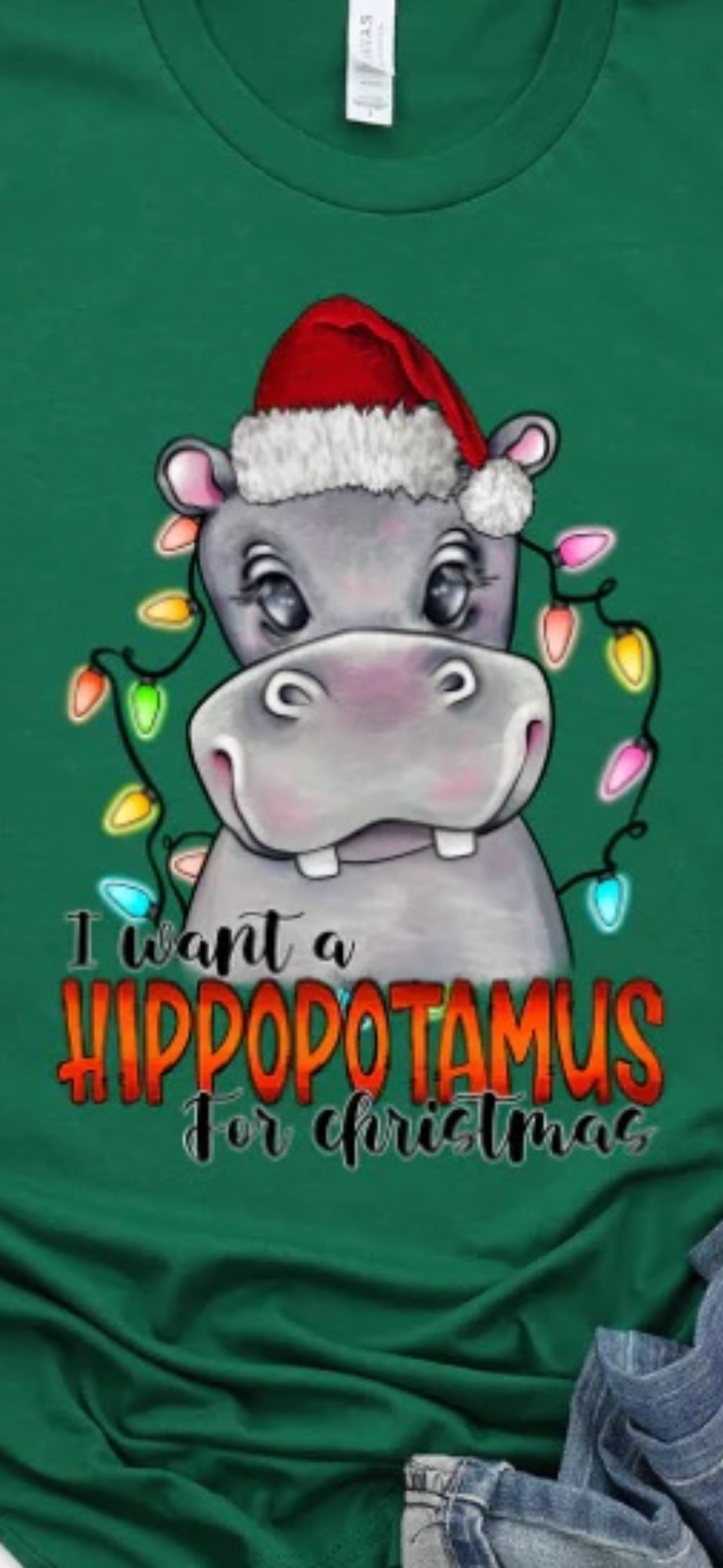 Hippo Christmas Cartoony